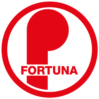 Webshop Fortuna Delft